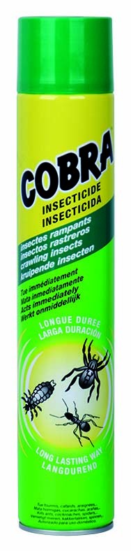Insecticide spécial insectes rampants" - Bombe 750ml"